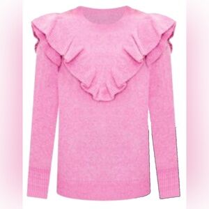 Ann Taylor Loft Small Pink Ruffle Sweater
